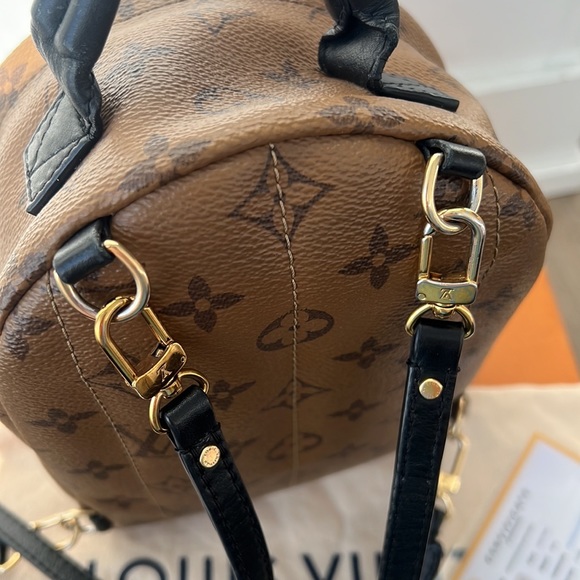 Palm Springs Mini Reverse Monogram - Picture 10 of 17